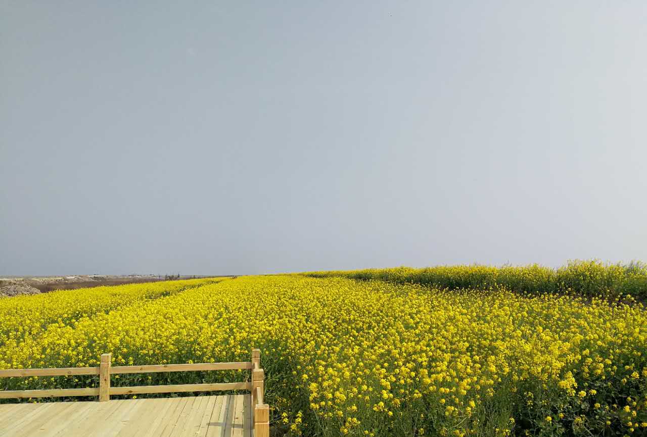 ÓͲ˻¨11.jpg ÓͲ˻¨11.jpg