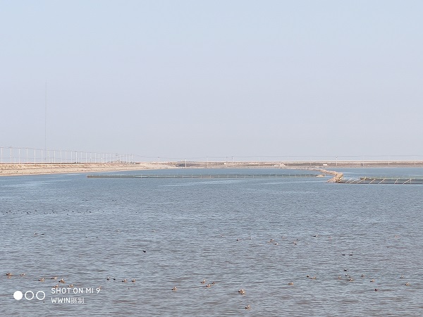 ΢ÐÅͼƬ_20211025091320.jpg ΢ÐÅͼƬ_20211025091320.jpg